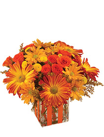 Bonfire Nights Bouquet